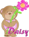 Daisy