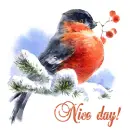 Nice day!