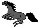 Galloping Horse