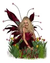 Pelia