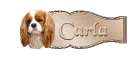 carla