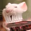 Mouse brush teeth