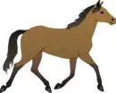 horse