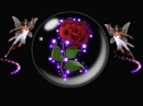 FAIRYS MAGIC GLOBE-2FAIRYS AND A ROSE IN A GLASS GLOBE