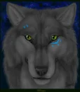 wolf