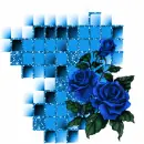 blue rose 