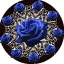 blye roses 