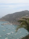 Catalina