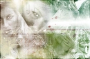 fairy