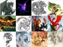 Dragon background