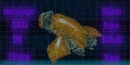 halo 2 zealot ghost in background