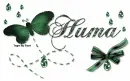 Huma