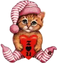 I love you kitty