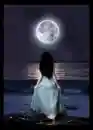 The midnight sky