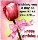 Happy birthday