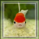 Goldfish