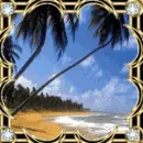 Exotic Beach