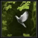 Dove
