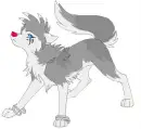 cool wolfie