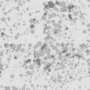 Splotches