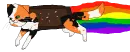 KoiTart