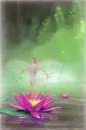 flying fairy