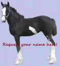 Horse Names