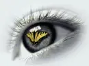 the look in your eyes when you see a butterfly