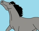 Grey Horse