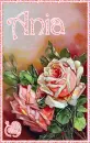 Vintage Valentine Roses - Ania