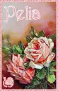 Vintage Valentine Roses - Pelia