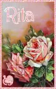 Vintage Valentine Roses - Rita