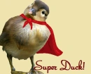 Super Duck