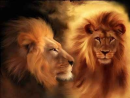 Lions
