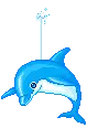 dolphin