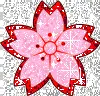 pink n red flower