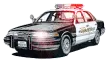 policecar