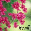 All about Love