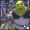 what?
