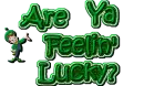 Feelin Lucky