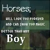 Horses