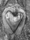 Nature Love