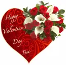 valentine's Day