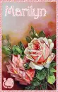 Vintage Valentine Roses - Marilyn