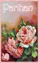 Vintage Valentine Roses - Parihan