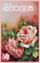 Vintage Valentine Roses - Shonna