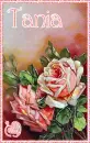 Vintage Valentine Roses - Tania