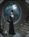 The moon in the window