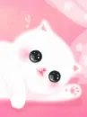 Cute Kitten