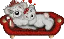 Creddy BearS
